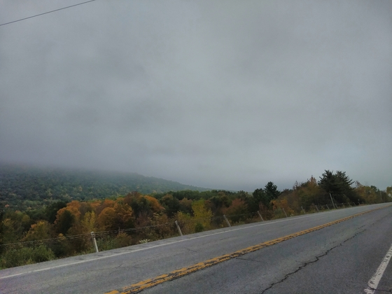 Fog and the road on the way to Cayuga